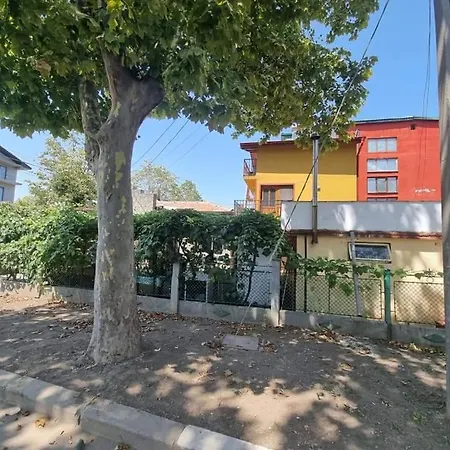 Vila Ioana&mirel Guest house *